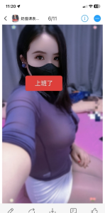 临平奶猫