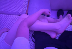 梅花园三刷白云小小