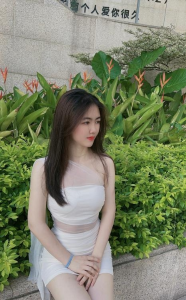 梅花园三刷白云小小