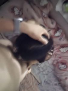 熟妇肛交
