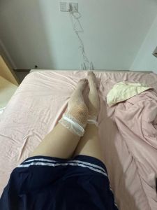 杨浦长阳路苗苗