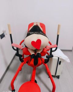 武汉奶兔