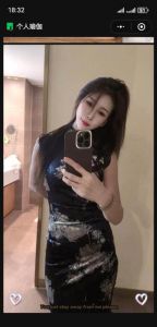 河东区艾晨爽记