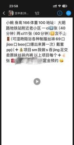 大明路超主动豆豆