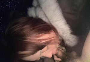 车震骚妇妞妞