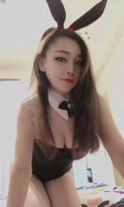 宝安大波小肥猫