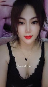 姑苏少妇