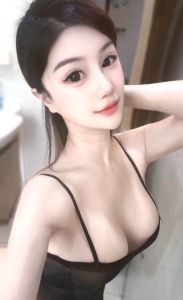 园区小白