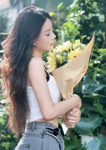 漂亮姐姐婉清