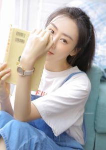 政务骚狐狸