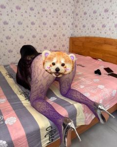 巨臀丝袜少妇