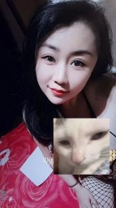 木渎老师回味无穷