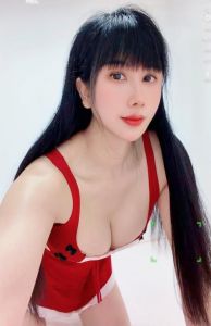 朝阳莞式美乳长腿