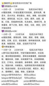 全能猫老师