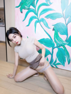 老司机 · 南明区精致的小骚女 (无套路)