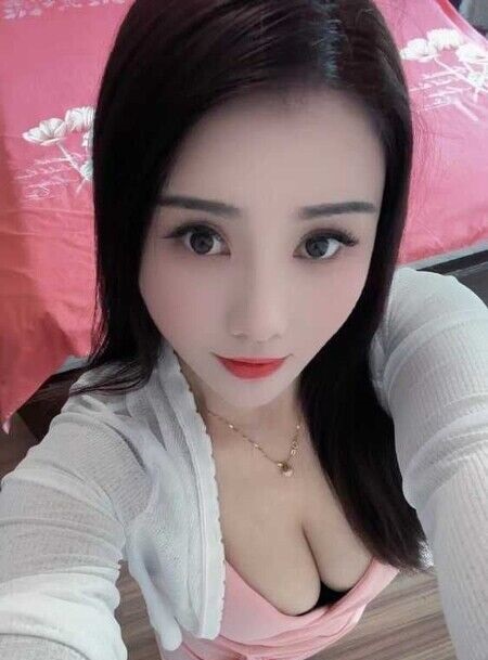 裕丰围燕子