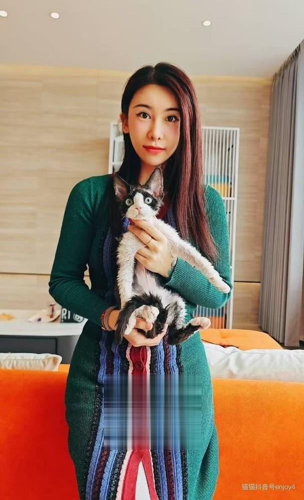 北郊喵喵，老人了