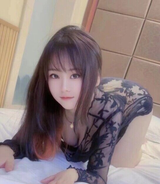 验证赤岗喵喵