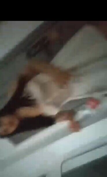 验证同和小幸运