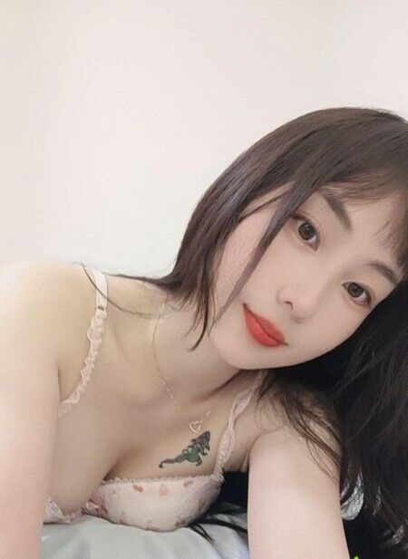 嘉禾朵朵