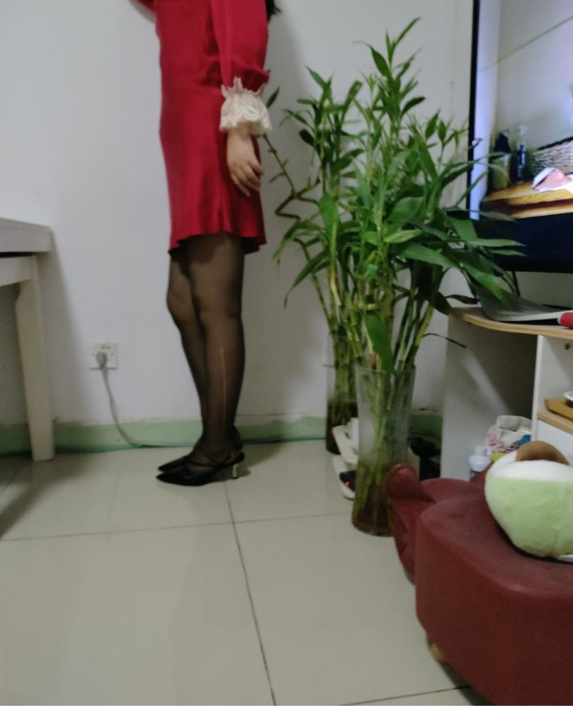 海淀高挑妹子