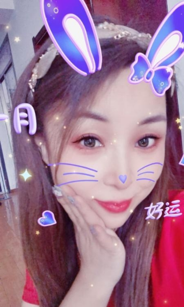 北辰小燕子