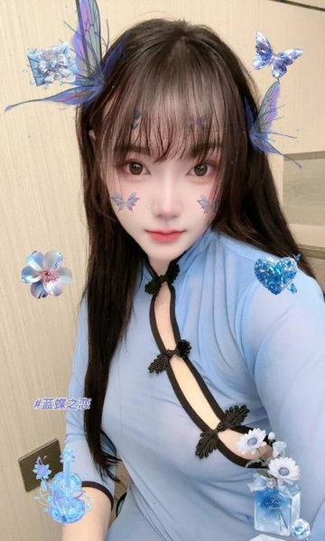 普陀小野猫