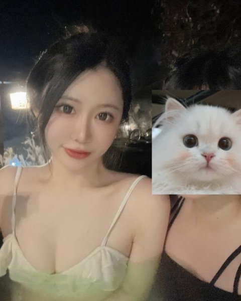服务系颜值老师