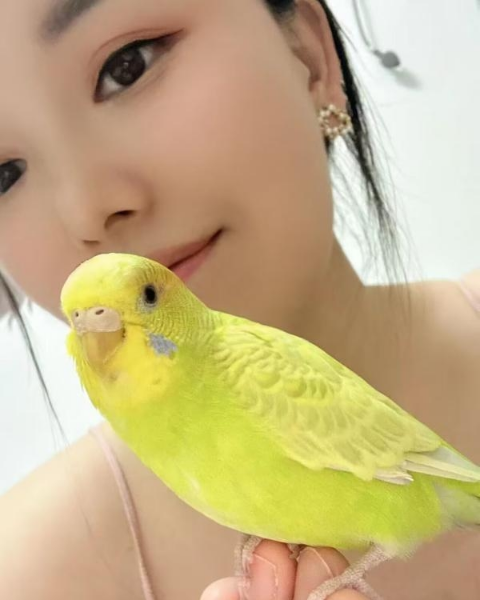江岸个人半套小姐姐