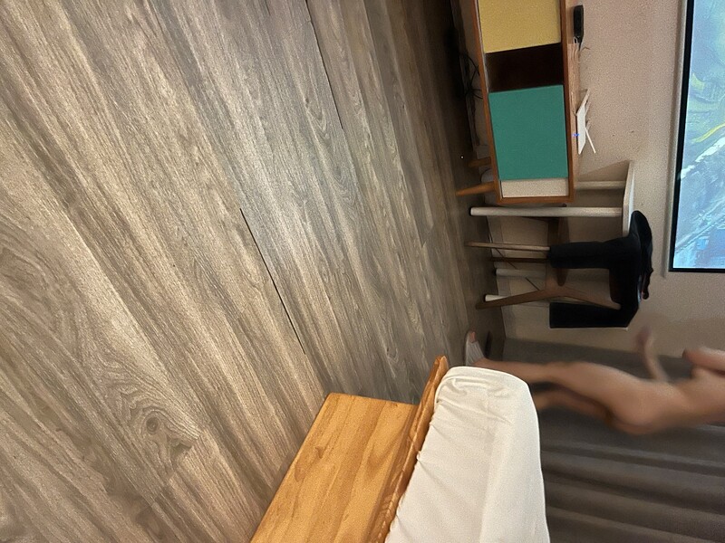 验证天河岗顶兔宝