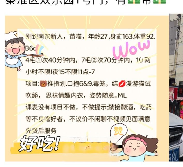 秦淮苗喵