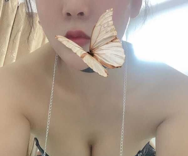 体育西啊燕
