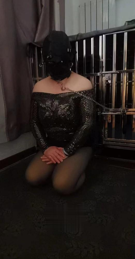 天津母狗sm