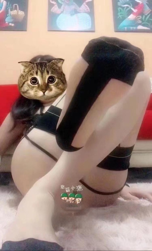 丝足小媳妇