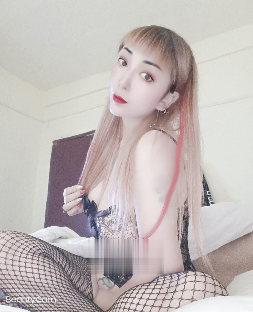 松江渔网服务熟女