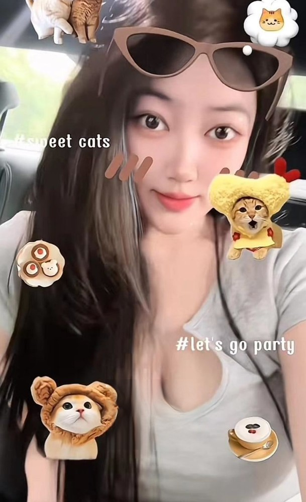 环保小奶猫