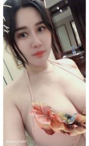 南开区依依