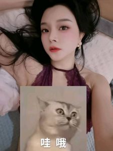 芜湖妲己