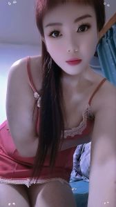 沈阳服务系乐宝