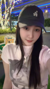 江宁婉婉