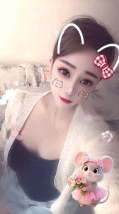 罗湖 蜜蜂