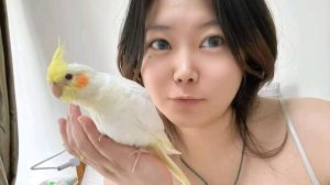 朝阳高个肉肉的妹子