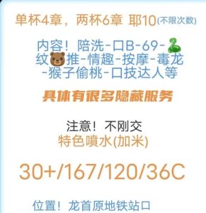 龙首原风骚少妇